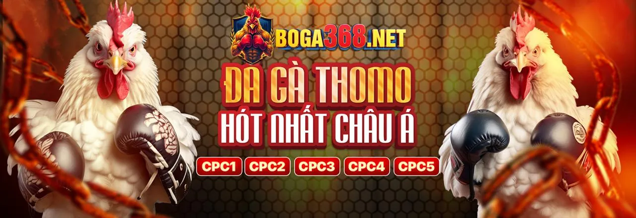 Đá gà trực tuyến 188vv - Trải nghiệm đỉnh cao